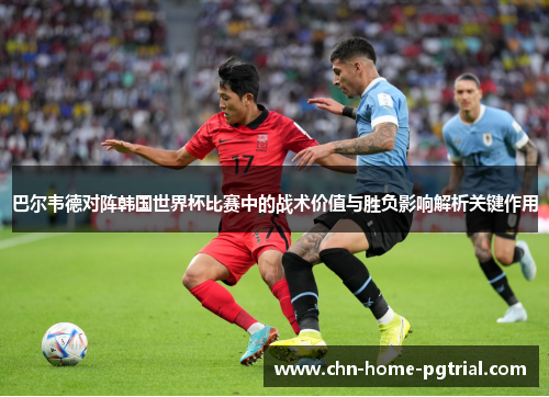 巴尔韦德对阵韩国世界杯比赛中的战术价值与胜负影响解析关键作用