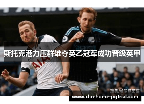 斯托克港力压群雄夺英乙冠军成功晋级英甲