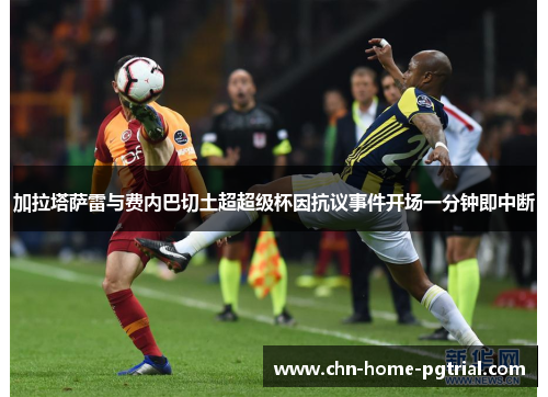 加拉塔萨雷与费内巴切土超超级杯因抗议事件开场一分钟即中断